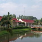 Top 5 Ayurvedic Retreats in Sri Lanka for Total Rejuvenation