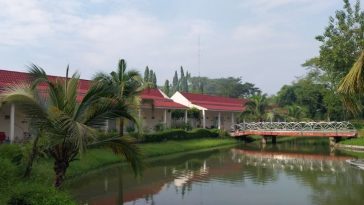 Top 5 Ayurvedic Retreats in Sri Lanka for Total Rejuvenation