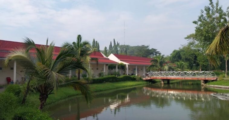 Top 5 Ayurvedic Retreats in Sri Lanka for Total Rejuvenation